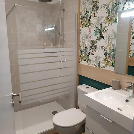 Oxalis Daire Bagnères-de-Bigorre